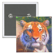Siberian Tiger Square Button
