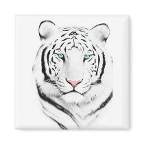 Siberian White Tiger Magnets