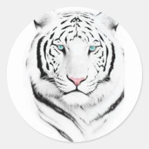 Siberian White Tiger Round Sticker