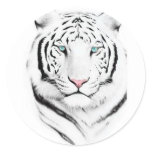 Siberian White Tiger stickers