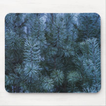 Siberian Winter 4 Mouse Pads