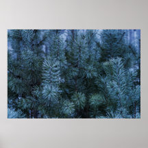 Siberian Winter 4 Posters