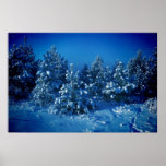 Siberian Winter posters