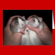 Sibling Rivalry Card cards