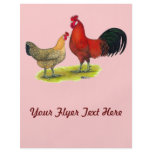 Sicilian Buttercup Chickens flyers