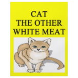 sick cat hater joke flyers