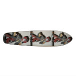 SICK MINDED CLOWN skateboards