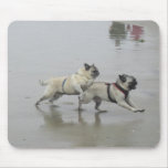 Sid Precious and Hemi at Dog Beach, San Diego Mousepads