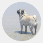 Sid the Pug at Dog Beach, San Diego, CA Round Sticker