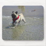Sid the Pug's Beach Photo - Sid the Puggy Rocket Mousepad