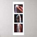 Side Arm and Back posters