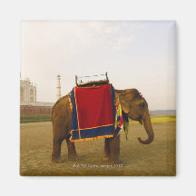 Side profile of an elephant, Taj Mahal, India Refrigerator Magnets