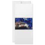 Sideneck turtle looking at viewer on blue tinsel rack cards