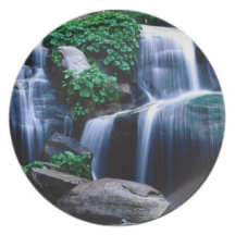 Sierra National Forest, California Dinner Plates