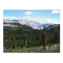 Sierra Nevada Mountains Postcard