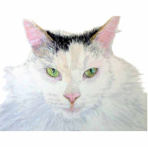 Sierra the Cat Sculpture photo sculptures