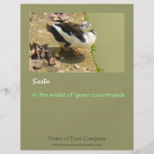 Siesta Flyers