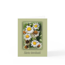 Siete invitati . . .(Italian) You're Invited #1