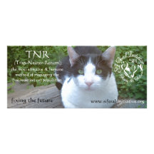 SIFI rack card - Badger