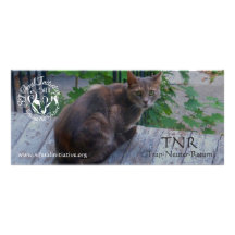 SIFI rack card - Nineva
