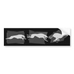Sighthounds in Motion bumper stickers