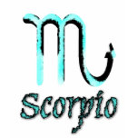 sign.scorpio t-shirts