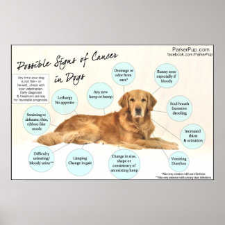 Veterinary Posters | Zazzle.co.uk
