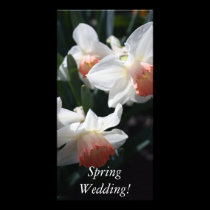 Signs Of Spring photo cards