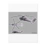 SILENT HAWK POSTCARD