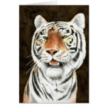 Silent Stalker - Tiger Card