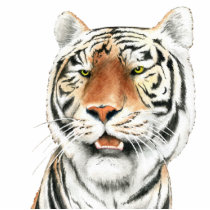 Silent Stalker - Tiger Photo Sculpture
