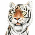 Silent Stalker - Tiger Photo Sculpture photo sculptures