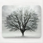 Silent Tree mousepads