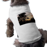 Silhouette of Trees at Sunset pet clothing
