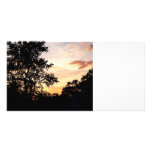 Silhouette of Trees at Sunset photo cards