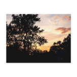 Silhouette of Trees at Sunset postcards