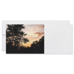 Silhouette of Trees at Sunset rack cards