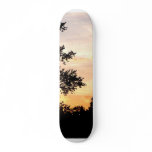 Silhouette of Trees at Sunset skateboards