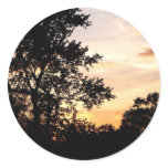 Silhouette of Trees at Sunset stickers