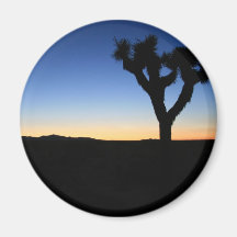 Silhouetted Joshua Tree Fridge Magnets