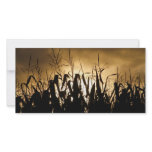 Silhouettes photo cards
