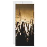 Silhouettes rack cards