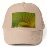 Silk Floss Palm hats