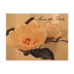 Silk Flowers Save the Date postcards