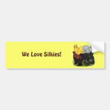 Silkies:  Assorted Roosters Bumper Stickers