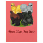 Silkies:  Assorted Roosters flyers