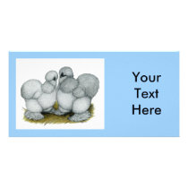 Silkies:  Self Blue Picture Card