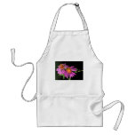 Silky Aster aprons
