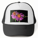 Silky Aster hats