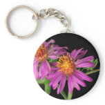 Silky Aster keychains